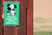 Simple Ways to Keep Your Pet Area Clean and Organized